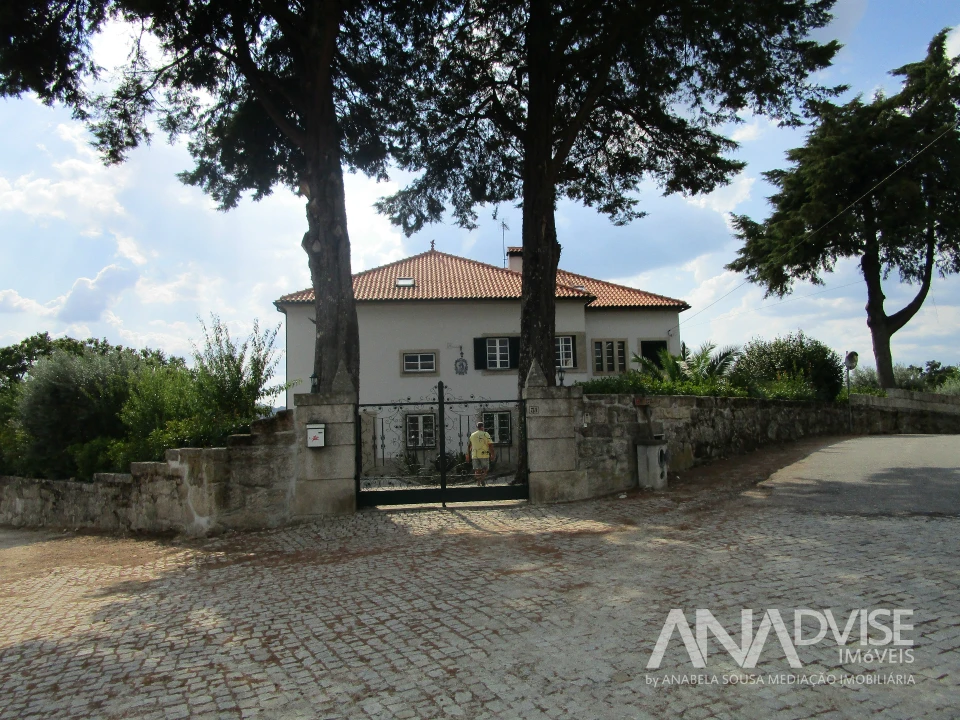 Quinta T7 para Venda em Mangualde, Mesquitela e Cunha Alta Foto 31
