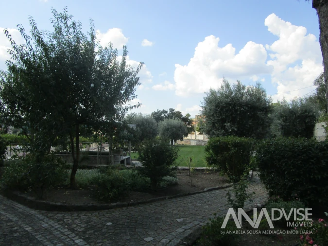 Quinta T7 para Venda em Mangualde, Mesquitela e Cunha Alta Foto 10