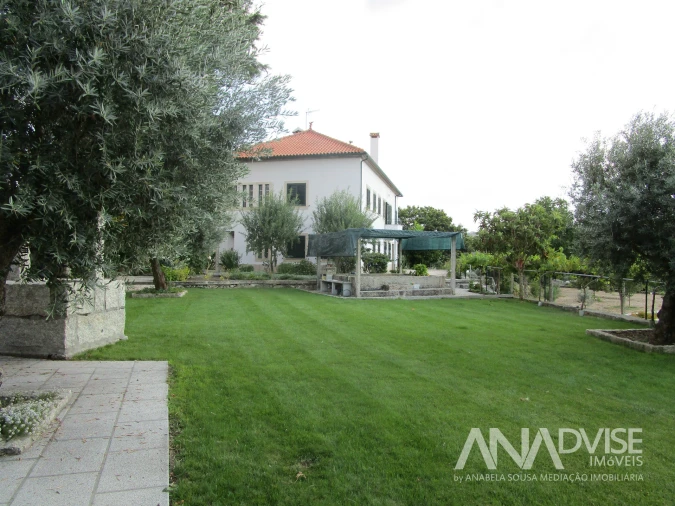 Quinta T7 para Venda em Mangualde, Mesquitela e Cunha Alta Foto 6