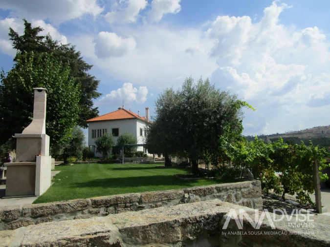 Quinta T7 para Venda em Mangualde, Mesquitela e Cunha Alta Foto 16