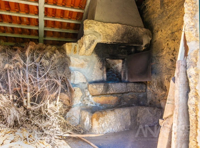 Quinta T7 para Venda em Mangualde, Mesquitela e Cunha Alta Foto 21