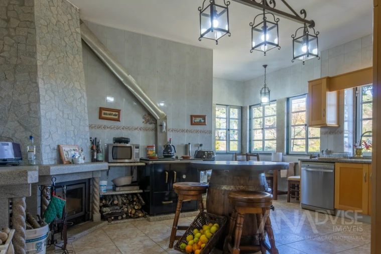 Quinta T7 para Venda em Mangualde, Mesquitela e Cunha Alta Foto 52