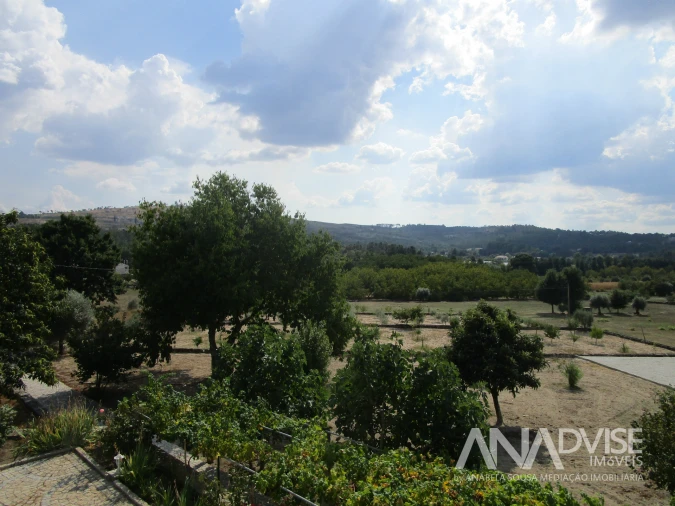 Quinta T7 para Venda em Mangualde, Mesquitela e Cunha Alta Foto 29