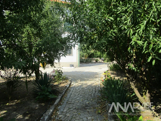 Quinta T7 para Venda em Mangualde, Mesquitela e Cunha Alta Foto 26