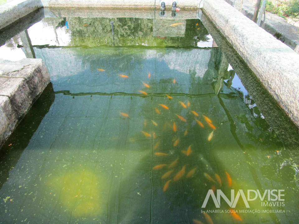 Quinta T7 para Venda em Mangualde, Mesquitela e Cunha Alta Foto 22
