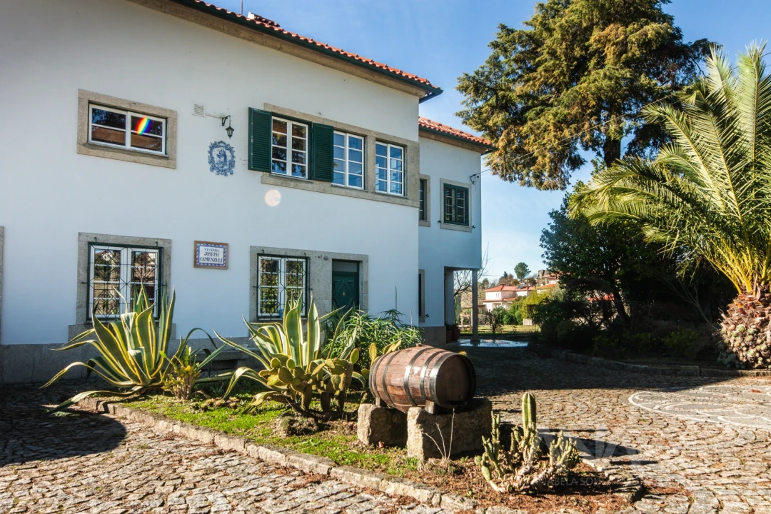 Quinta T7 para Venda em Mangualde, Mesquitela e Cunha Alta Foto 65