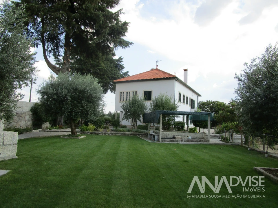 Quinta T7 para Venda em Mangualde, Mesquitela e Cunha Alta Foto 7