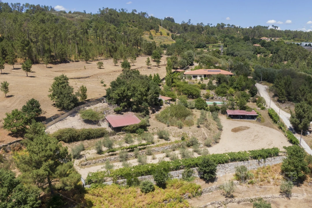 Quinta T4 para Venda em Fragosela Foto 30