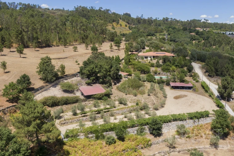 Quinta T4 para Venda em Fragosela Foto 30