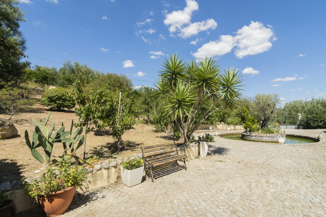 Quinta T4 para Venda em Fragosela Foto 24