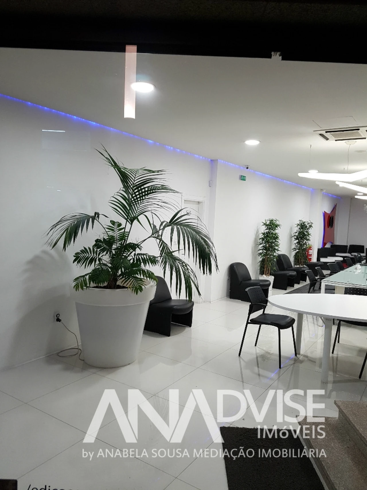 Loja para Arrendamento em Viseu Foto 4