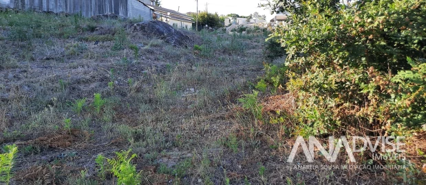 Terreno para Venda em São João de Lourosa