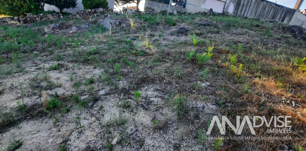 Terreno para Venda em São João de Lourosa Foto 3