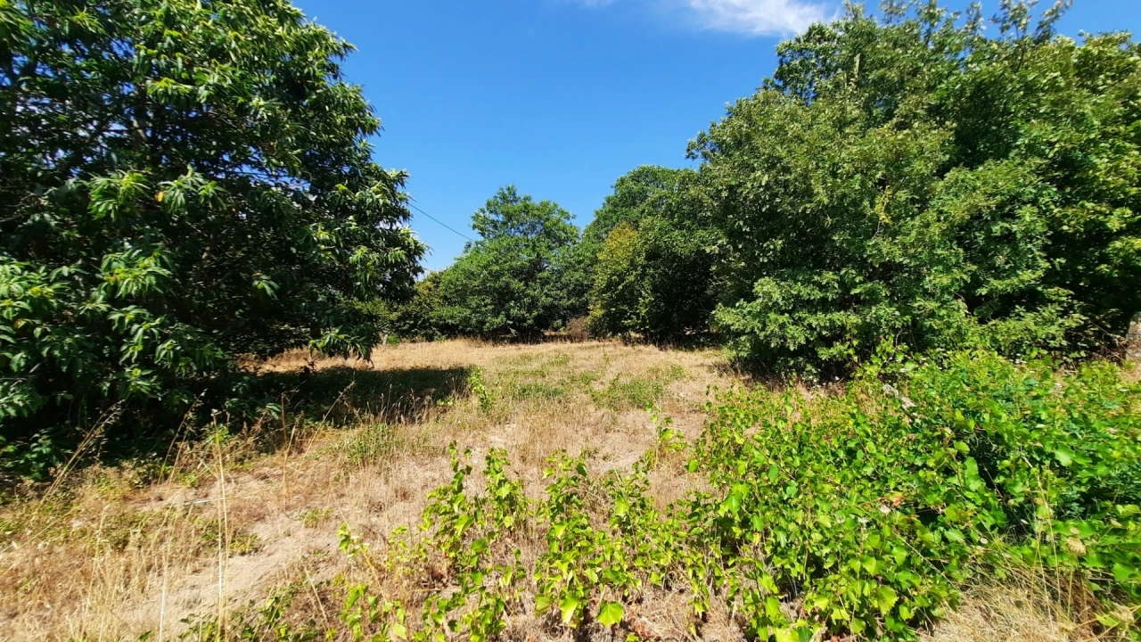 Quinta T5 para Venda em Fornos de Maceira Dão Foto 45