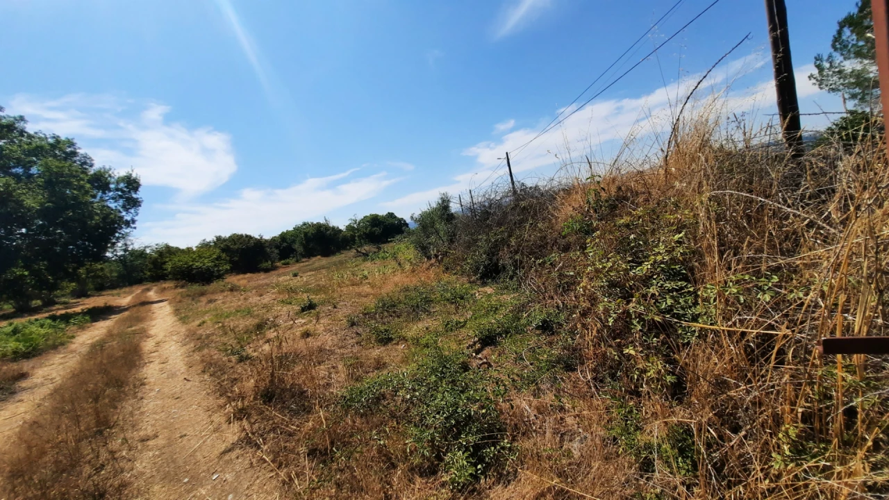 Quinta T5 para Venda em Fornos de Maceira Dão Foto 54