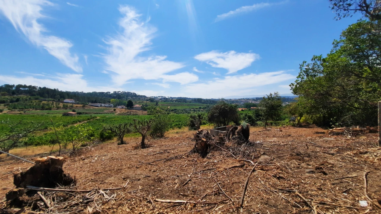 Quinta T5 para Venda em Fornos de Maceira Dão Foto 23