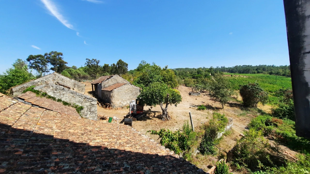 Quinta T5 para Venda em Fornos de Maceira Dão Foto 42