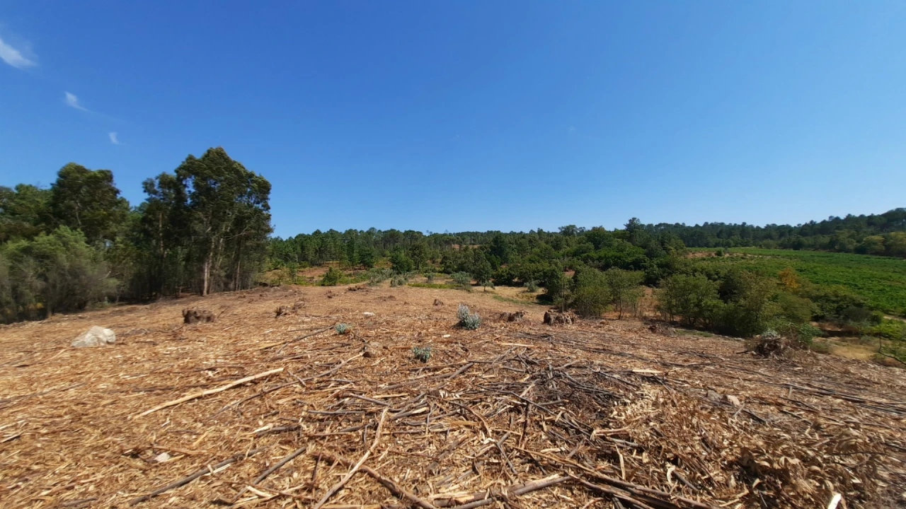 Quinta T5 para Venda em Fornos de Maceira Dão Foto 18