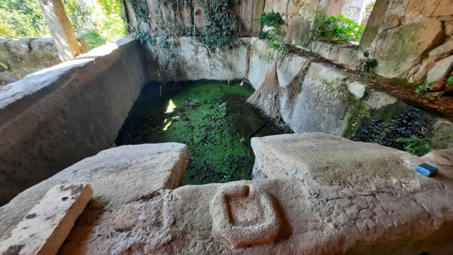 Quinta T5 para Venda em Fornos de Maceira Dão Foto 24