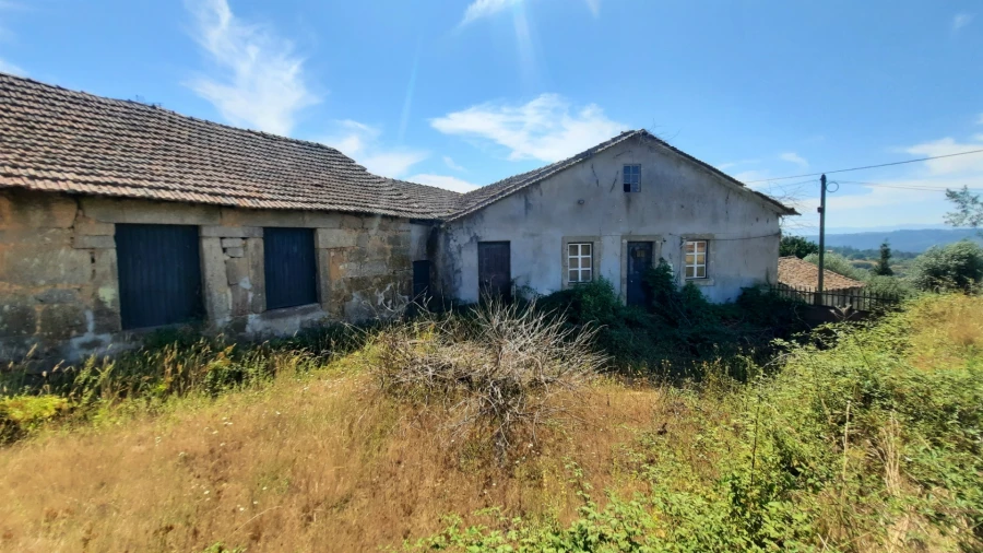 Quinta T5 para Venda em Fornos de Maceira Dão Foto 48
