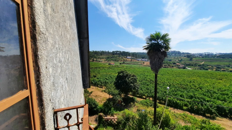 Quinta T5 para Venda em Fornos de Maceira Dão Foto 39