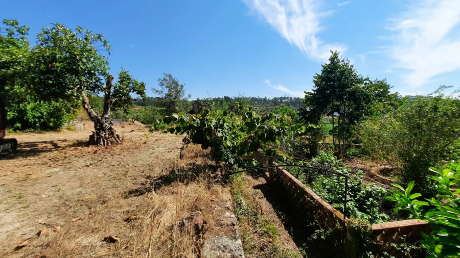 Quinta T5 para Venda em Fornos de Maceira Dão Foto 28