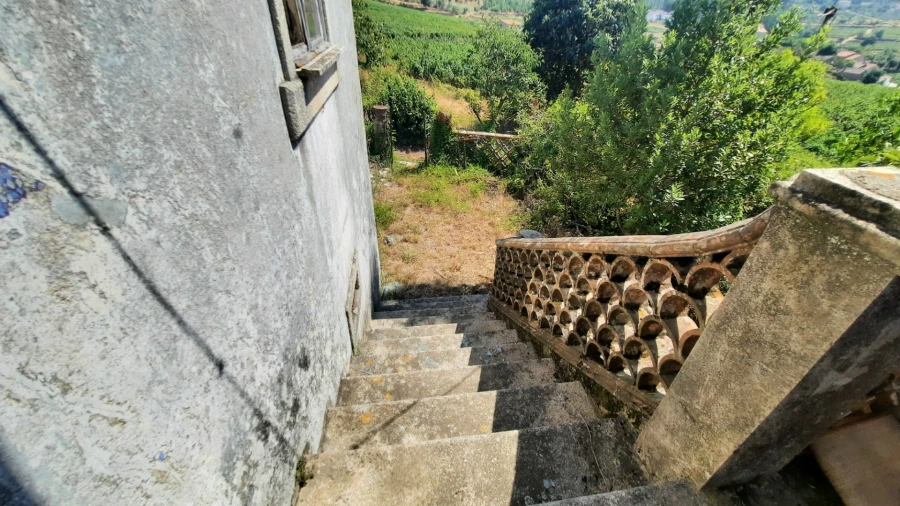 Quinta T5 para Venda em Fornos de Maceira Dão Foto 35