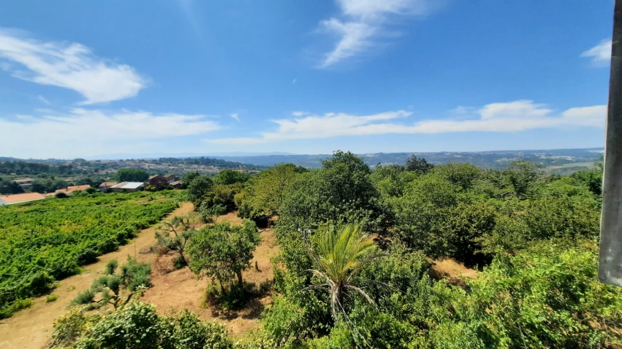 Quinta T5 para Venda em Fornos de Maceira Dão Foto 38