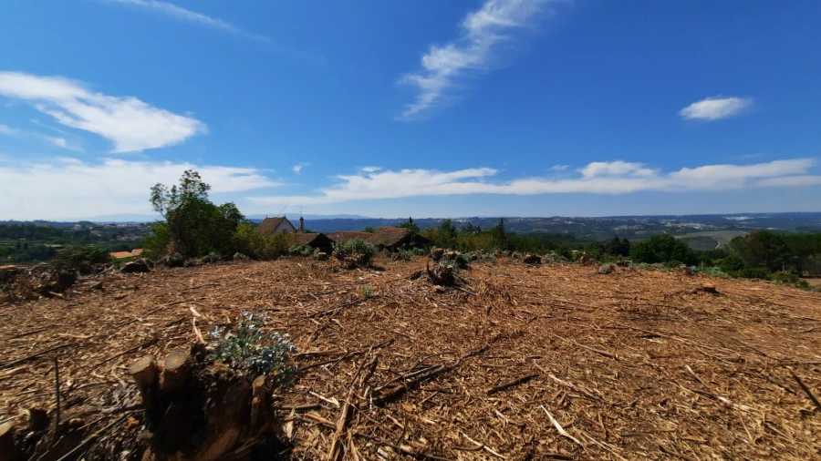 Quinta T5 para Venda em Fornos de Maceira Dão Foto 17