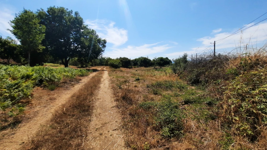 Quinta T5 para Venda em Fornos de Maceira Dão Foto 53