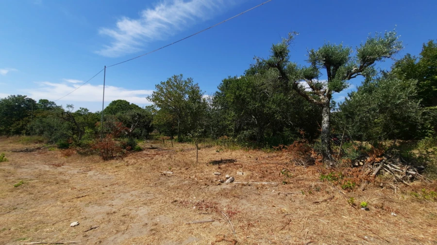Quinta T5 para Venda em Fornos de Maceira Dão Foto 13