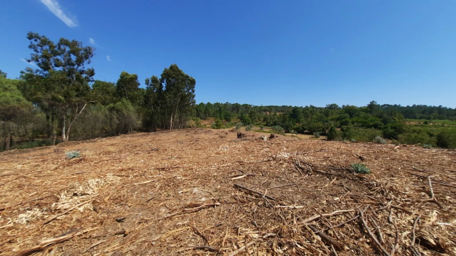 Quinta T5 para Venda em Fornos de Maceira Dão Foto 16