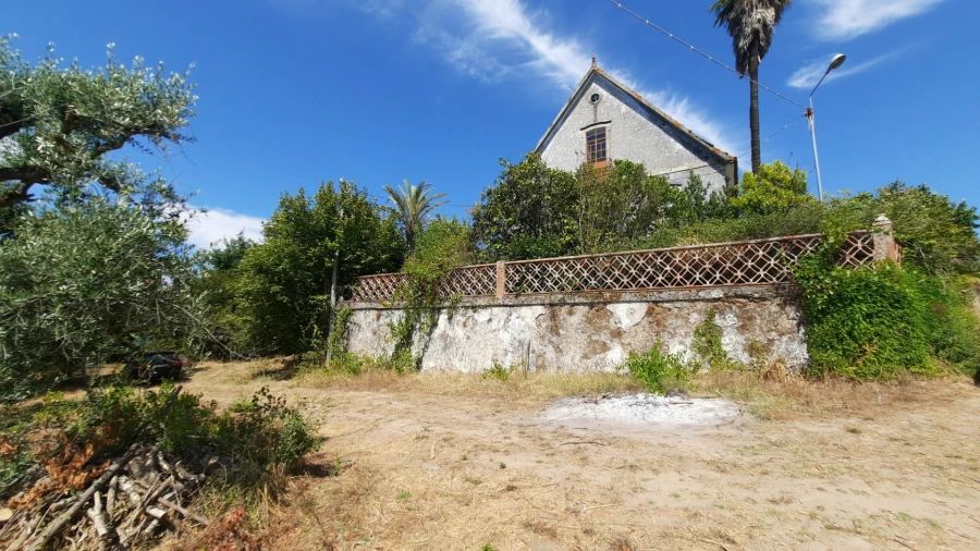 Quinta T5 para Venda em Fornos de Maceira Dão Foto 44