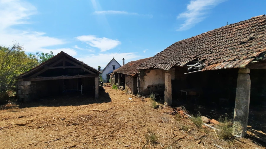 Quinta T5 para Venda em Fornos de Maceira Dão Foto 15