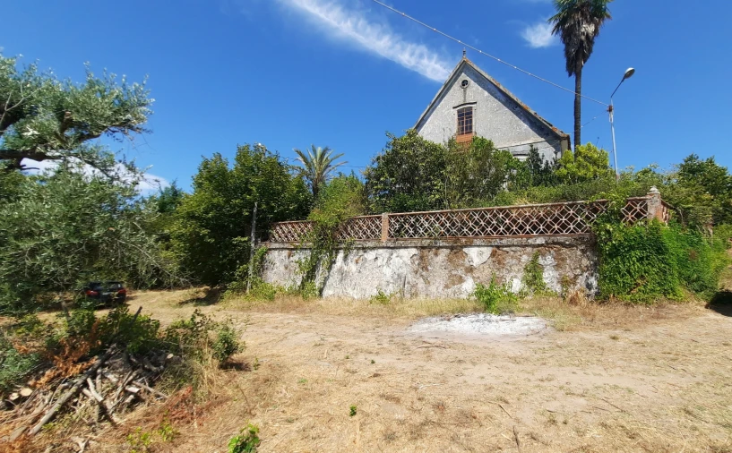 Quinta T5 para Venda em Fornos de Maceira Dão Foto 3