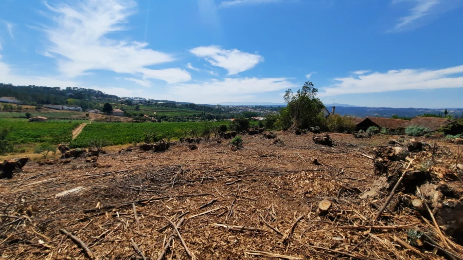 Quinta T5 para Venda em Fornos de Maceira Dão Foto 19