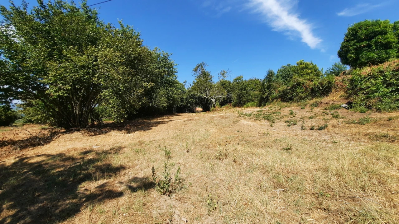 Quinta T5 para Venda em Fornos de Maceira Dão Foto 51