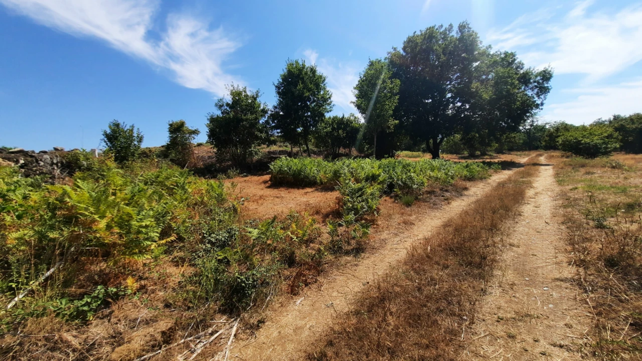 Quinta T5 para Venda em Fornos de Maceira Dão Foto 52