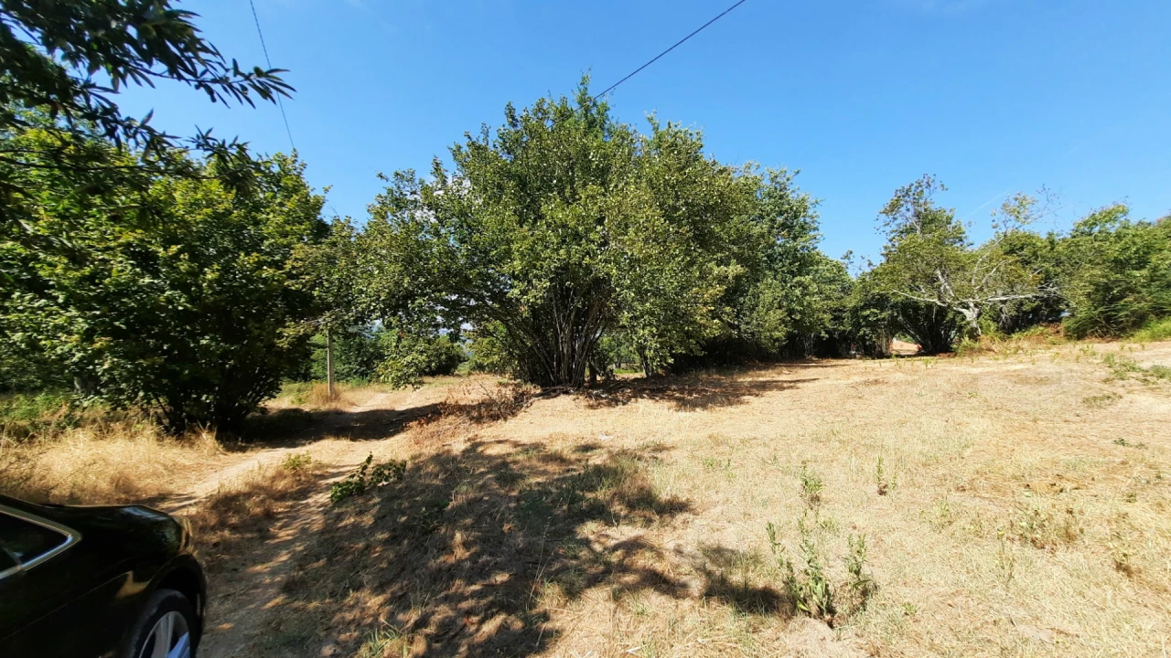 Quinta T5 para Venda em Fornos de Maceira Dão Foto 50