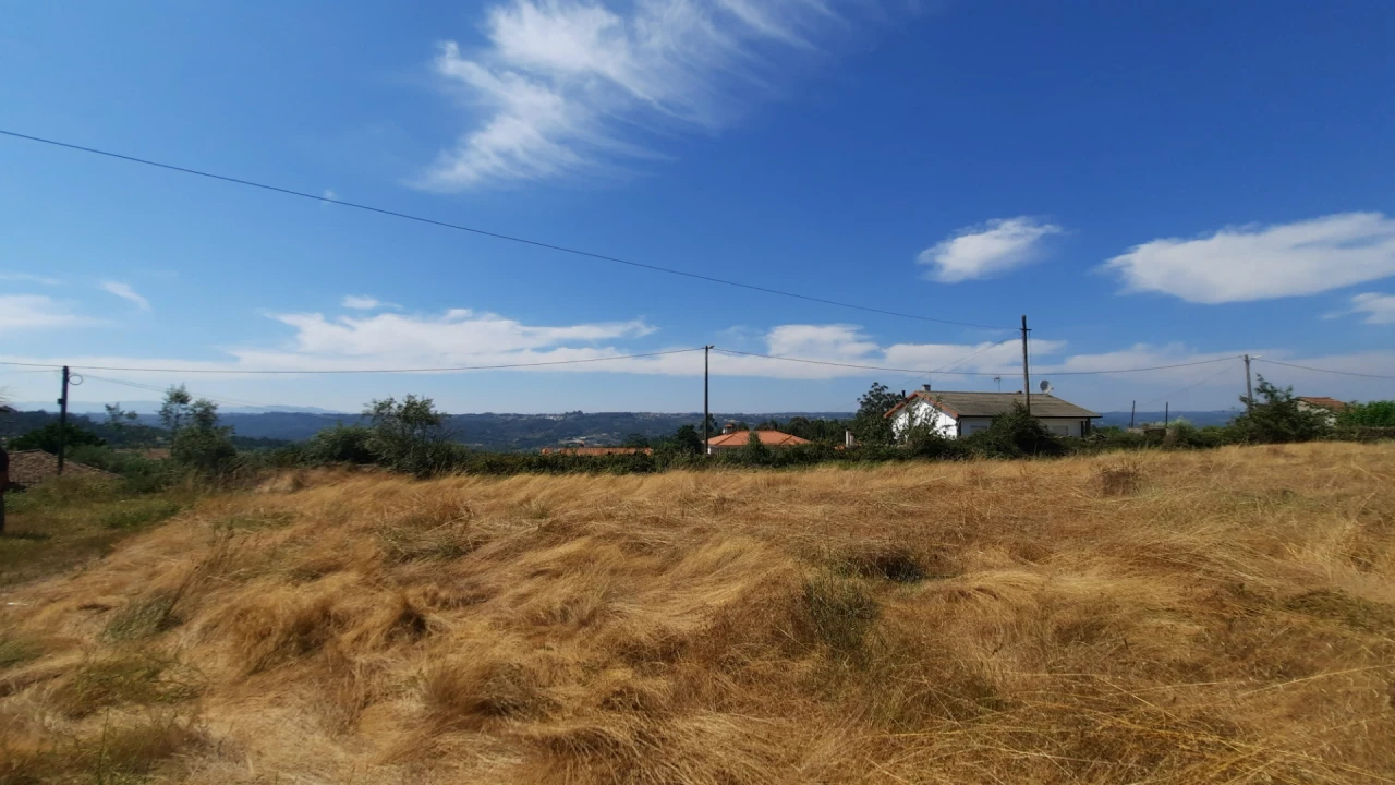 Quinta T5 para Venda em Fornos de Maceira Dão Foto 47