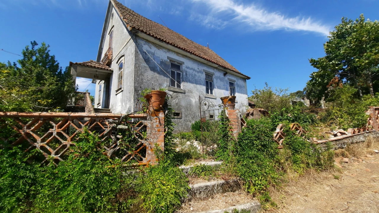 Quinta T5 para Venda em Fornos de Maceira Dão Foto 1