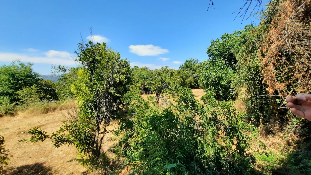 Quinta T5 para Venda em Fornos de Maceira Dão Foto 26