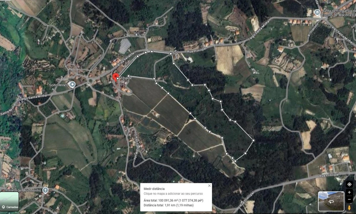 Quinta T5 para Venda em Fornos de Maceira Dão Foto 6