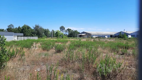 Terreno para Venda em Repeses e São Salvador