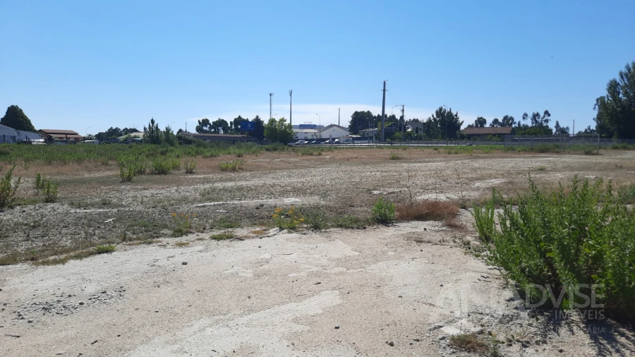 Terreno para Venda em Repeses e São Salvador Foto 2