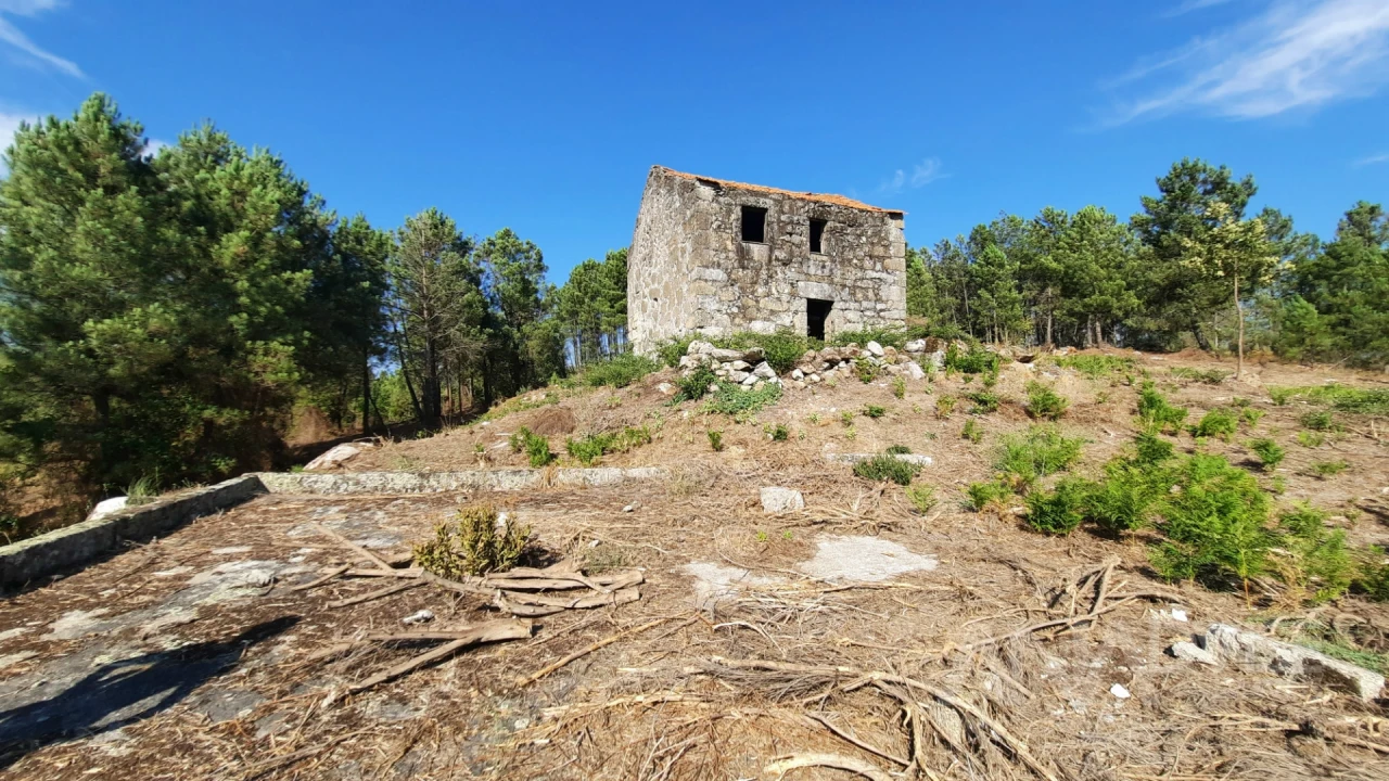 Quinta T0 para Venda em Abrunhosa-A-Velha Foto 19
