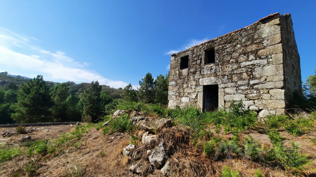 Quinta T0 para Venda em Abrunhosa-A-Velha Foto 10