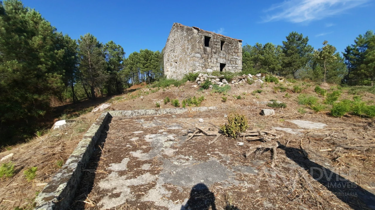 Quinta T0 para Venda em Abrunhosa-A-Velha Foto 15