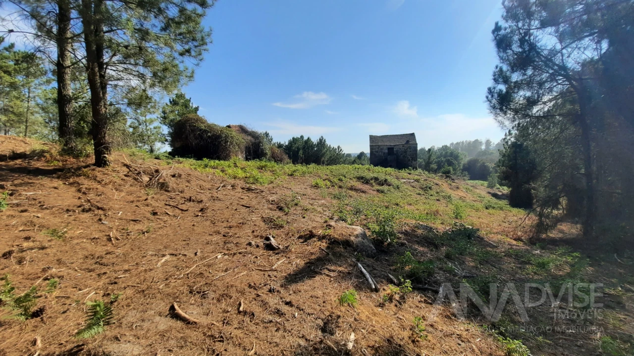Quinta T0 para Venda em Abrunhosa-A-Velha Foto 2