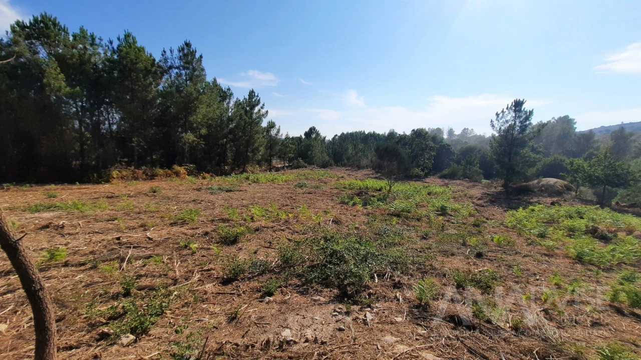 Quinta T0 para Venda em Abrunhosa-A-Velha Foto 9